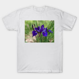 Dark Purple Flower Photographic Image T-Shirt